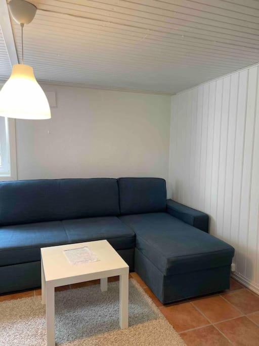 Ferienwohnung Fin Sentralt Hybel I Drammen Exterior foto