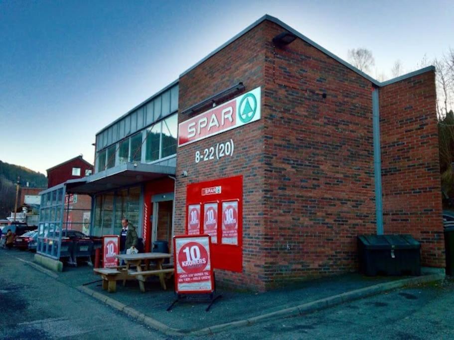 Ferienwohnung Fin Sentralt Hybel I Drammen Exterior foto