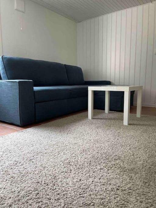 Ferienwohnung Fin Sentralt Hybel I Drammen Exterior foto